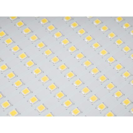 LED Utomhus Strålkastare stjärna LED/150W/230V IP65 5000K