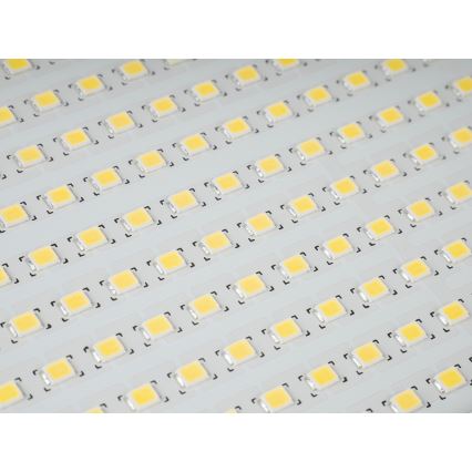 LED Utomhus Strålkastare stjärna LED/200W/230V IP65 5000K