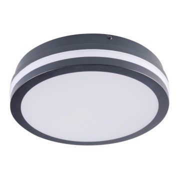 LED Utomhus Takbelysning BENO LED/18W/230V 4000K antracit IP54