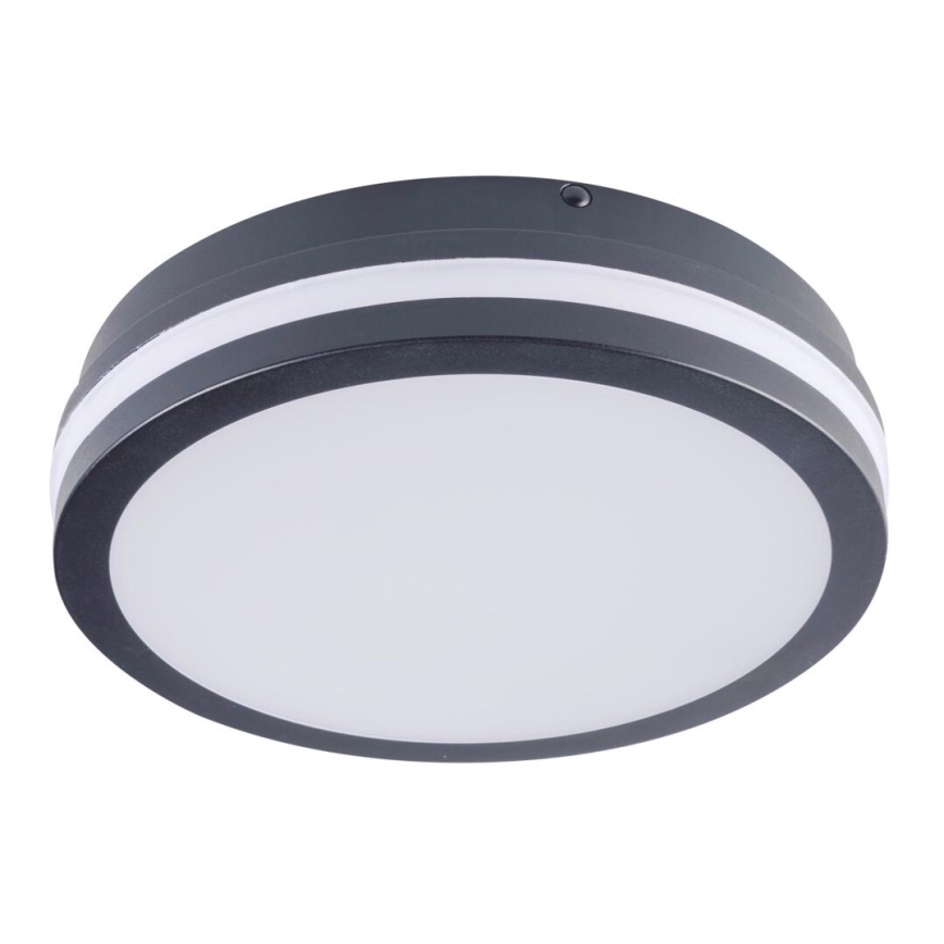 LED Utomhus Takbelysning BENO LED/18W/230V 4000K antracit IP54