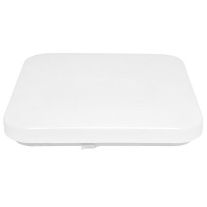 LED Utomhus Takbelysning LUKA LED/42W/230V IP44