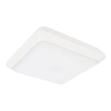 LED Utomhus Takbelysning TIPO LED/24W/230V IP66