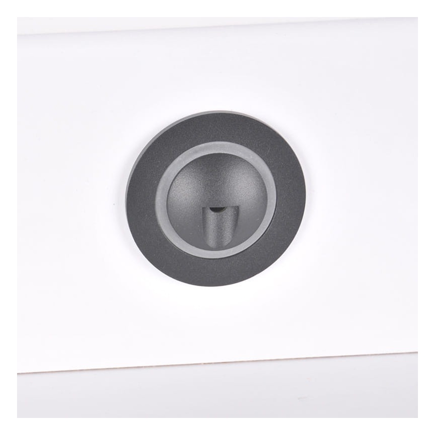 LED Utomhus Trappljus Q2 LED/3W/230V IP44