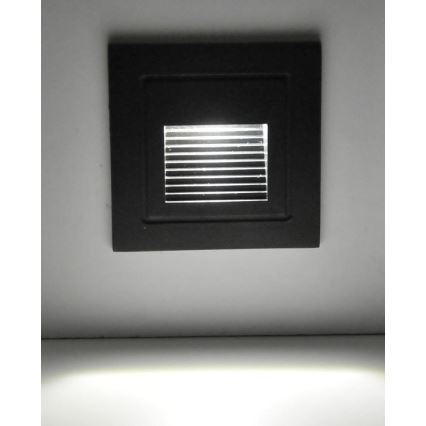 LED Utomhus Trappljus Q6 LED/3W/230V IP44