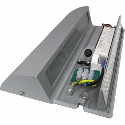 LED Utomhus Väggbelysning LED/10W/230V IP54