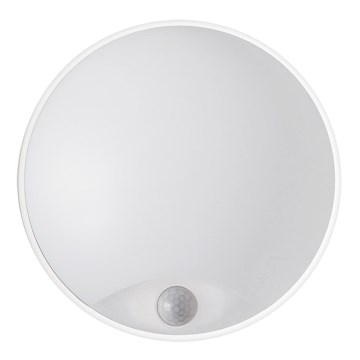 LED Utomhus Väggbelysning LED/14W/230V IP54