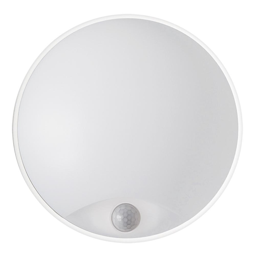 LED Utomhus Väggbelysning LED/14W/230V IP54