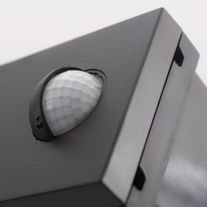 LED Utomhus Väggbelysning med sensor LED/10W/230V IP54