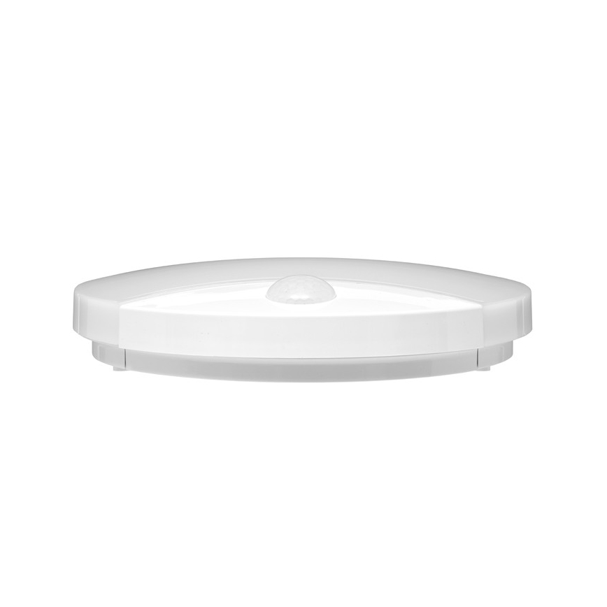 LED Utomhus Väggbelysning med sensor LORA LED/15W/230V IP44