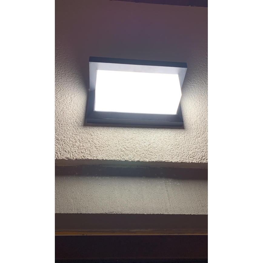 LED Utomhus vägglampa med sensor LED/12W/230V IP54 svart