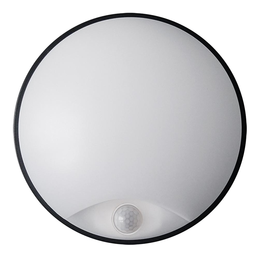 LED Utomhus vägglampa med sensor LED/14W/230V IP54