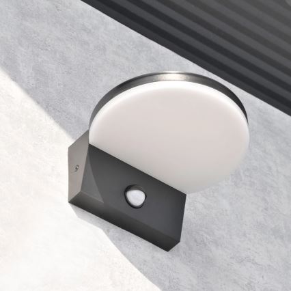 LED Utomhus vägglampa med sensor TESA LED/10W/230V IP54 svart