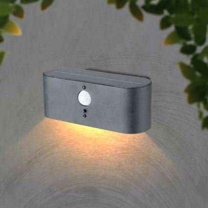 LED Utomhus väggsolcellslampa med sensor LED/2,5W/3,7V 3000K IP54 2000 mAh