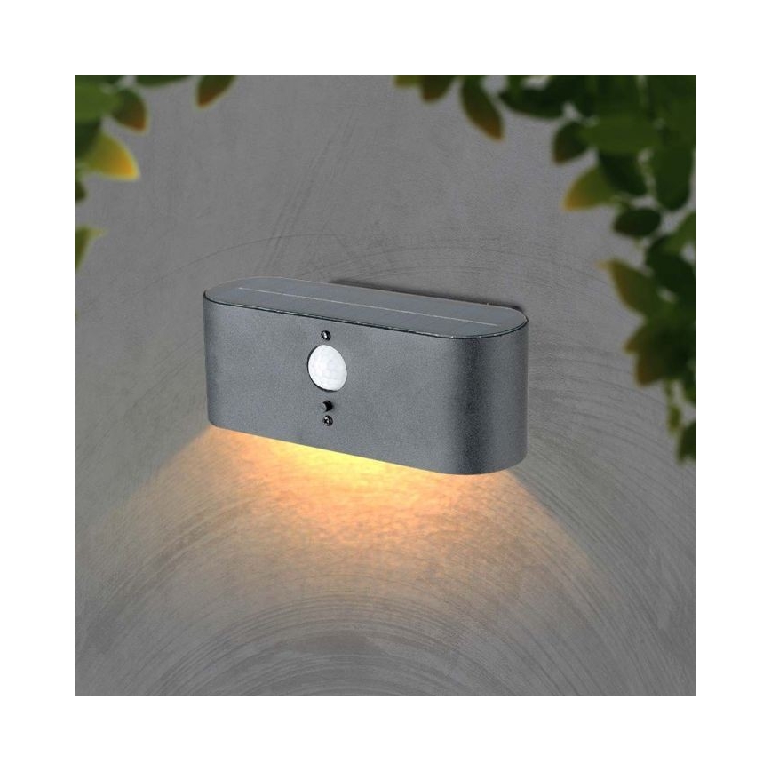 LED Utomhus väggsolcellslampa med sensor LED/2,5W/3,7V 3000K IP54 2000 mAh