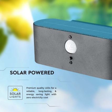 LED Utomhus väggsolcellslampa med sensor LED/2,5W/3,7V 3000K IP54 2000 mAh