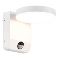LED Utomhus wall flexible belysning med sensor LED/17W/230V IP65 4000K vit