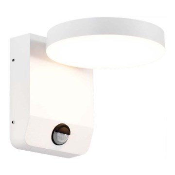 LED Utomhus wall flexible belysning med sensor LED/17W/230V IP65 4000K vit