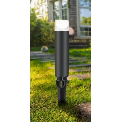 LED Utomhuslampa LED/3W/230V 4000K IP65