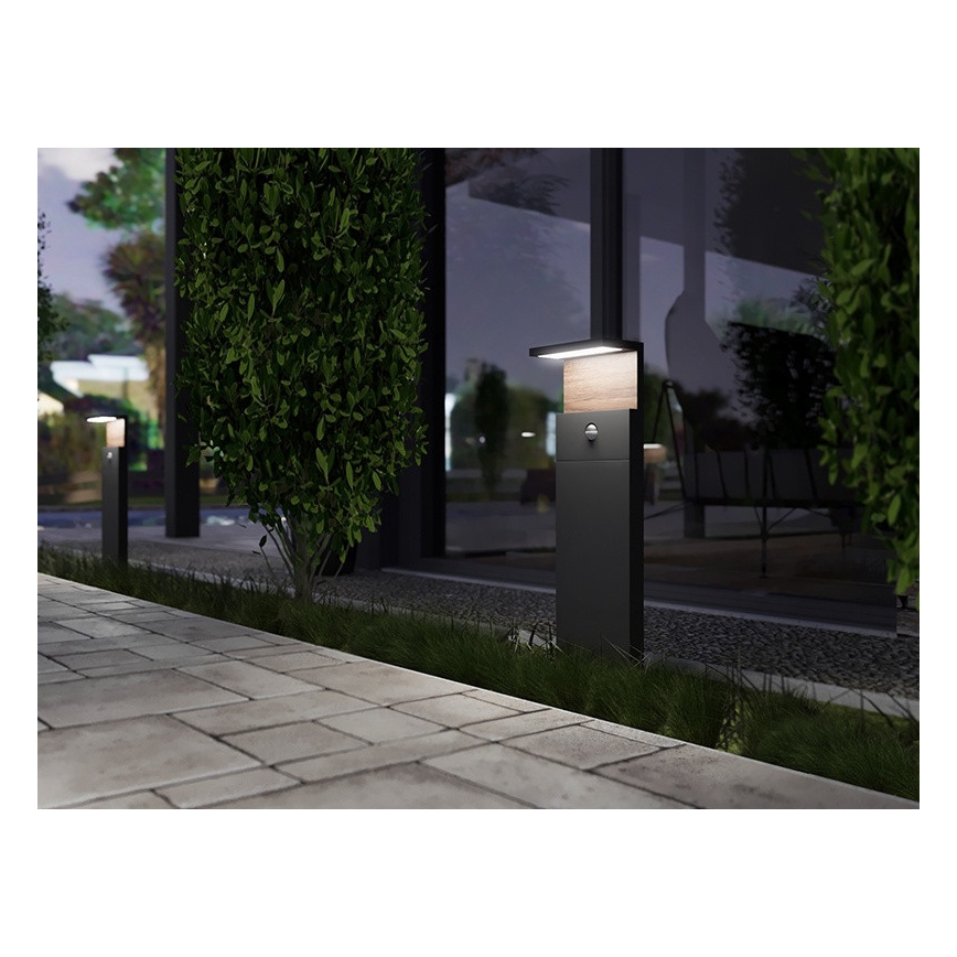 LED Utomhuslampa med sensor NATURA LED/12W/230V 4000K IP54 brun/antracit