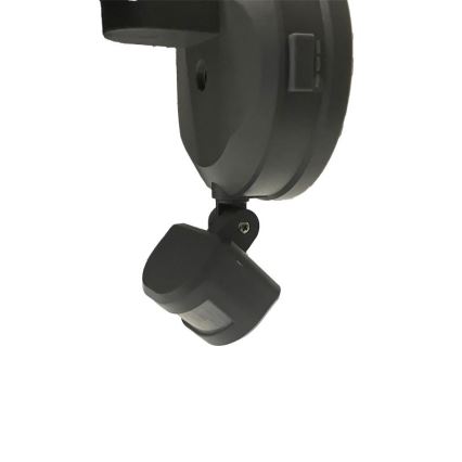 LED Utomhusstrålkastare med en sensor LED/24W/230V 3000/4000/6000K IP54 antracit