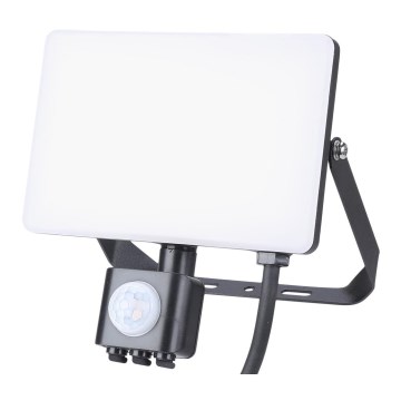LED Utomhusstrålkastare med en sensor LED/30W/230V 5000K IP44