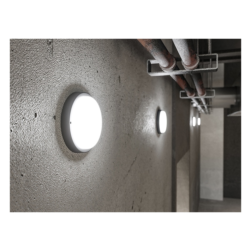 LED utomhusvägglampa LED/18W/230V IP54 svart