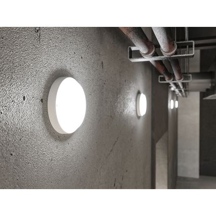 LED utomhusvägglampa LED/18W/230V IP54 vit