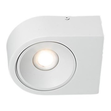 LED Väggbelysning LUCE LED/10W/230V
