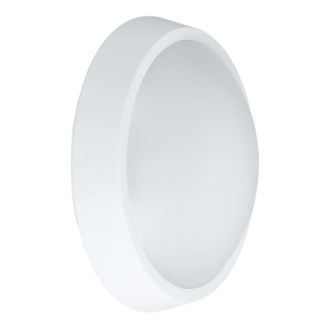 LED vägglampa för utomhusbruk BULKHEAD LED/30W/230V 4000K IP54 vit