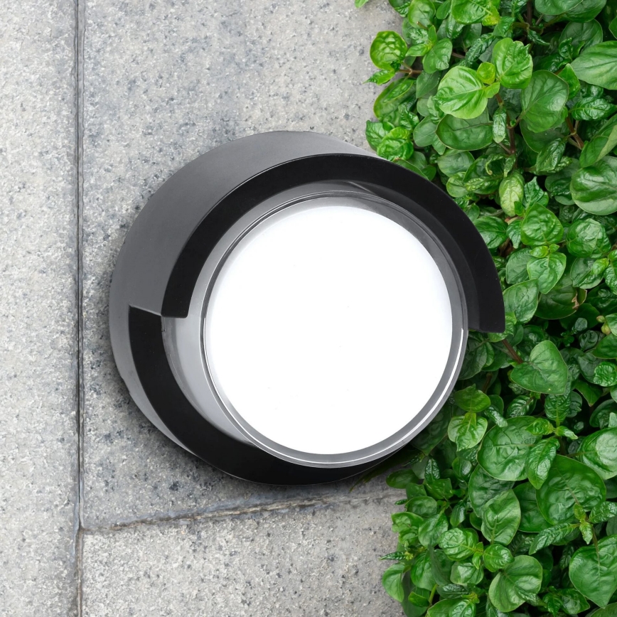LED vägglampa för utomhusbruk ESSEN LED/10W/230V IP44 svart