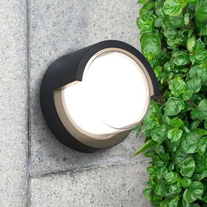 LED vägglampa för utomhusbruk ESSEN LED/10W/230V IP44 svart