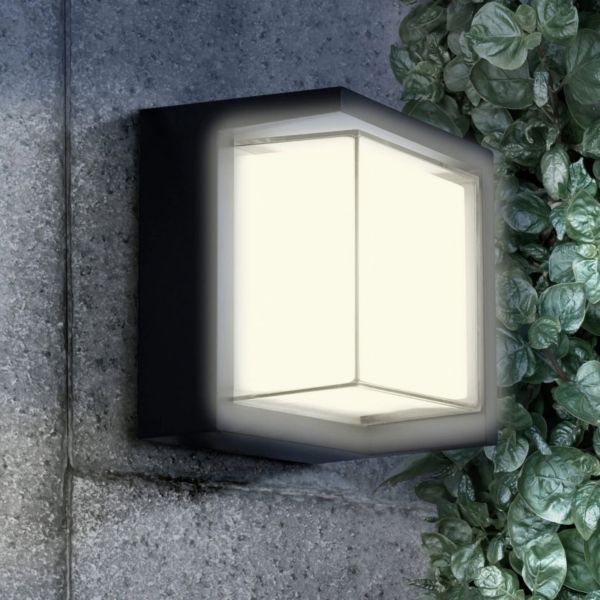 LED vägglampa för utomhusbruk ESSEN LED/12W/230V IP44 svart