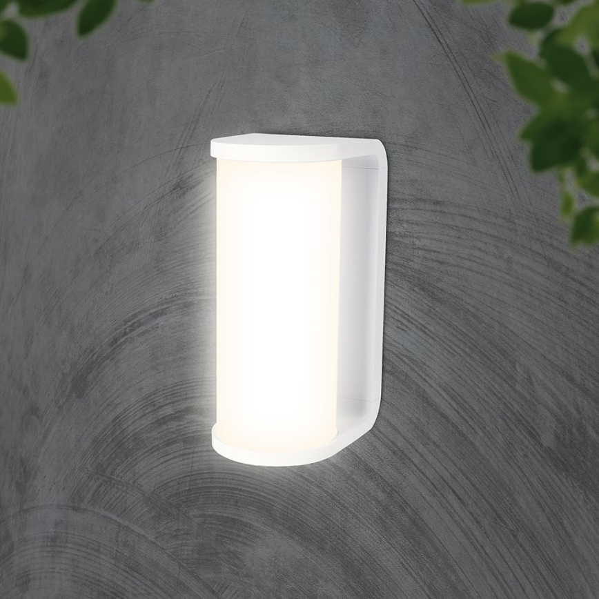 LED vägglampa för utomhusbruk LED/12W/230V 3000/4200/6500K IP65 vit