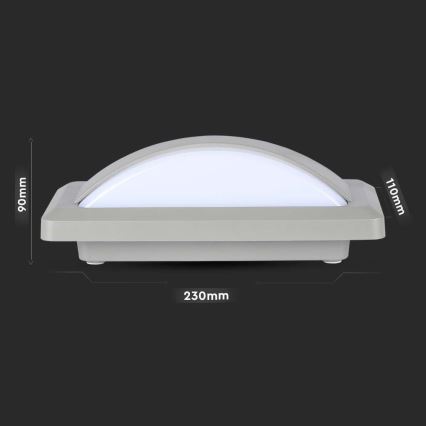 LED vägglampa för utomhusbruk LED/12W/230V 6400K IP65
