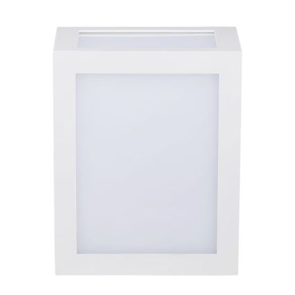LED vägglampa för utomhusbruk LED/12W/230V IP65 4000K vit
