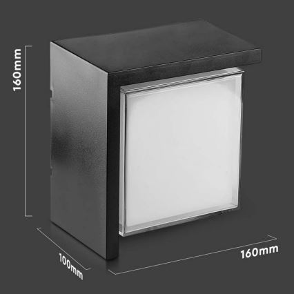 LED vägglampa för utomhusbruk LED/12W/230V IP65