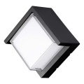 LED vägglampa för utomhusbruk LED/12W/230V IP65