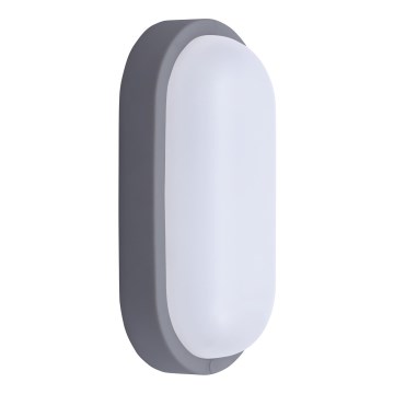 LED vägglampa för utomhusbruk LED/13W/230V 4000K IP54 grå oval