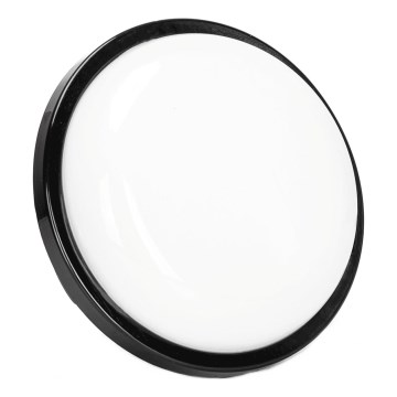 LED vägglampa för utomhusbruk LED/15W/230V 6500K diameter 15,5 cm svart IP65