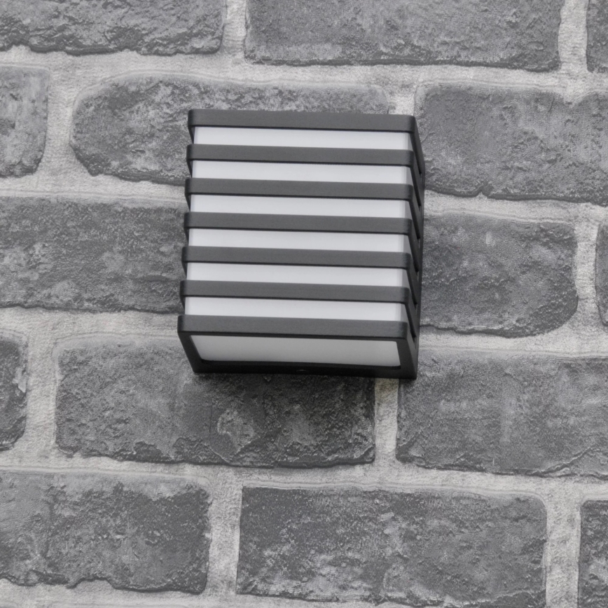 LED vägglampa för utomhusbruk MAXWELL LED/10W/230V IP54 antracit