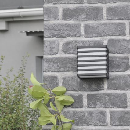 LED vägglampa för utomhusbruk MAXWELL LED/10W/230V IP54 antracit