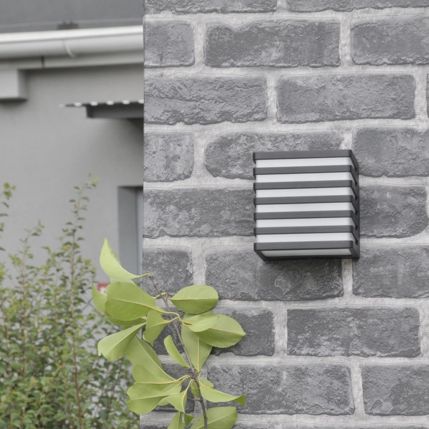 LED vägglampa för utomhusbruk MAXWELL LED/10W/230V IP54 antracit