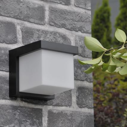 LED vägglampa för utomhusbruk MORGAN LED/10W/230V IP54