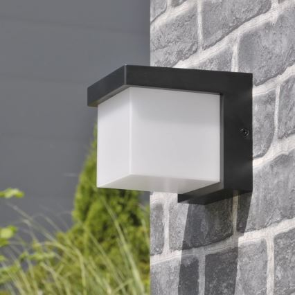 LED vägglampa för utomhusbruk MORGAN LED/10W/230V IP54