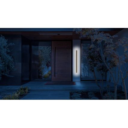 LED vägglampa för utomhusbruk STICK LED/12W/230V IP65 3000K 30 cm