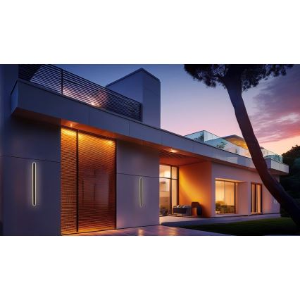 LED vägglampa för utomhusbruk STICK LED/12W/230V IP65 3000K 60 cm