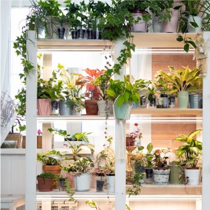 LED Under-shelf Plant Growing Light GROWLY 2xLED/8,5W/230V vit