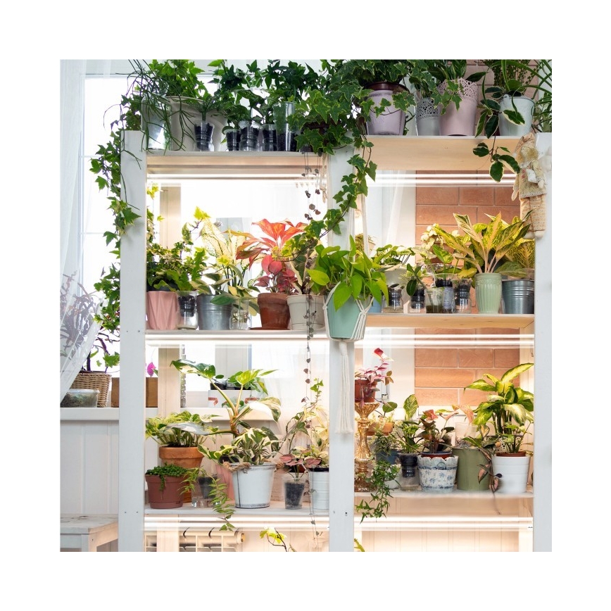 LED Under-shelf Plant Growing Light GROWLY 2xLED/8,5W/230V vit
