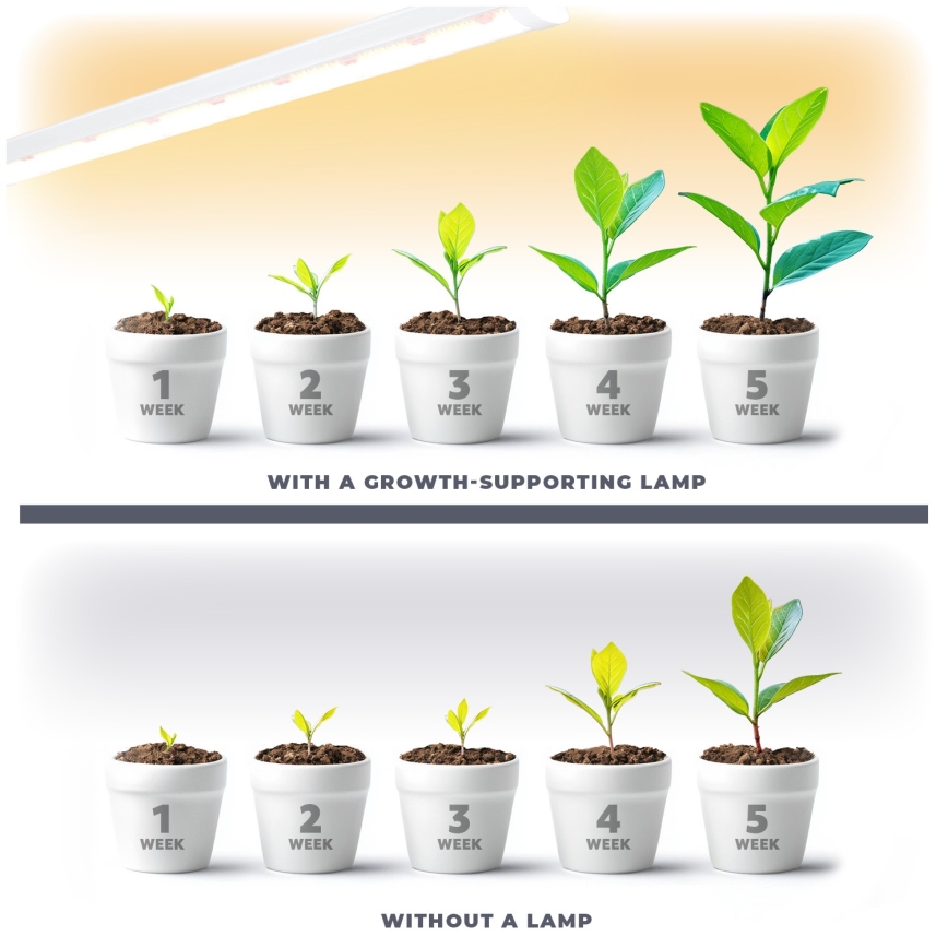 LED Under-shelf Plant Growing Light GROWLY LED/15W/230W