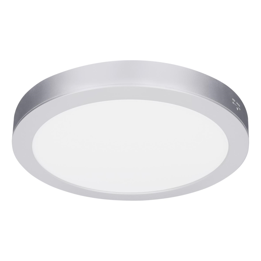 LED ytmonterad/infälld panel 2-i-1 24W/230V 3000/4000/6000K Ø 30 cm IP54 silver